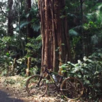 Vélo dans un environnement naturel pour illustrer le complément trail et vélo de route